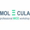 MOLECULA - professional MICE & FIT workshop Logo