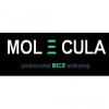 MOLECULA - Professional MICE workshop Logo