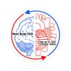2nd World Heart and Brain Conference Logo