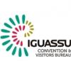 Iguassu Falls Logo