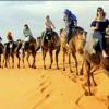 Trip desert  morocco
