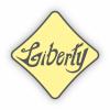 Liberty International Tourism Group