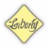 Liberty South Africa  Logo