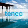 Teneo Hospitality Group Logo