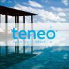 Teneo Hospitality Group