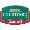Courtyard by Marriott Magnificent Mile Chicago Downtown