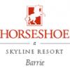 Horseshoe Resort