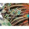 Aruba Tourism Authority 